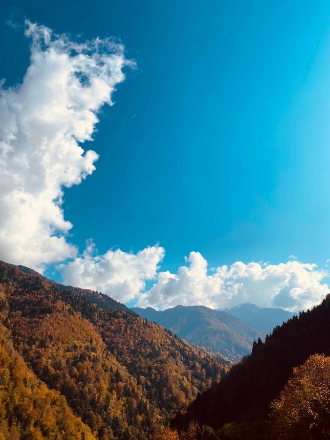 Seyr-I Cennet Dag Evleri Çamlıhemşin Esterno foto